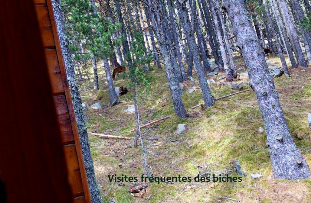 Chalet Vue Sous Cet Angles Bagian luar foto